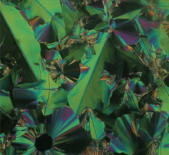 bent-core crystals in natural state