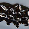 ferrofluids-thumb